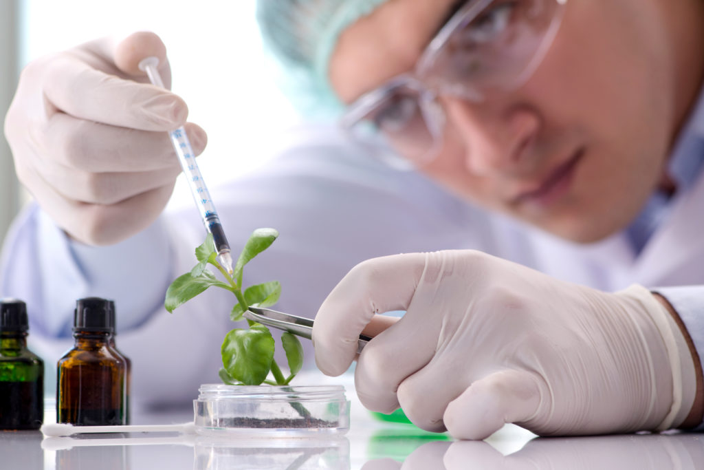 Restoring the Earth for a Healthier Future