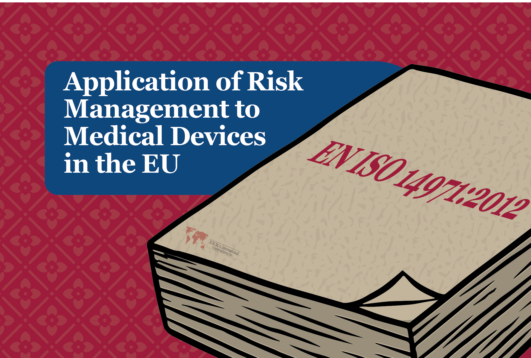 Application of Risk Management to Medical Devices in the EU