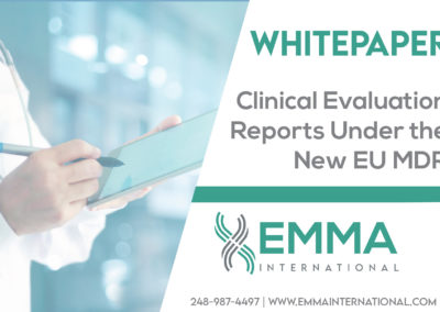 Clinical Evaluation Reports Under the New EU MDR