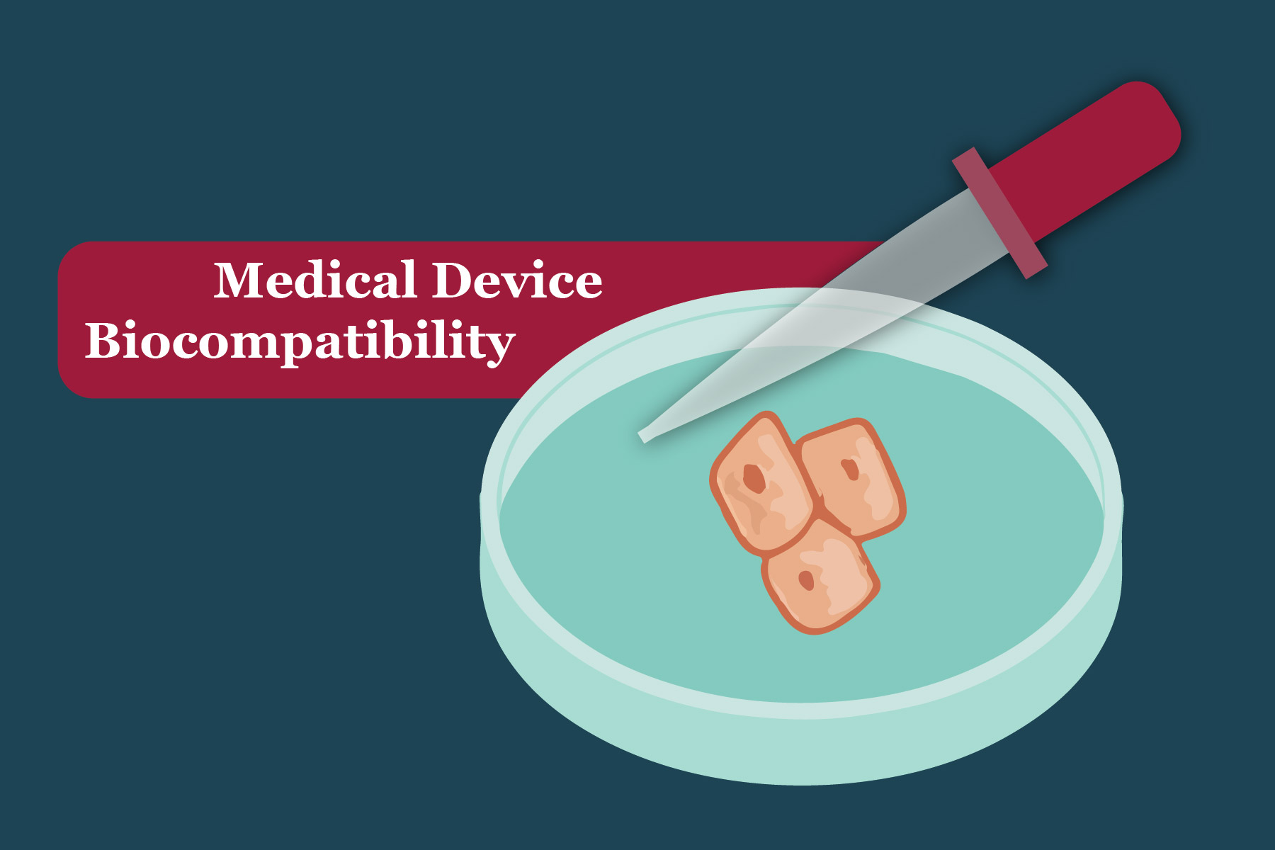 Medical Device Biocompatibility