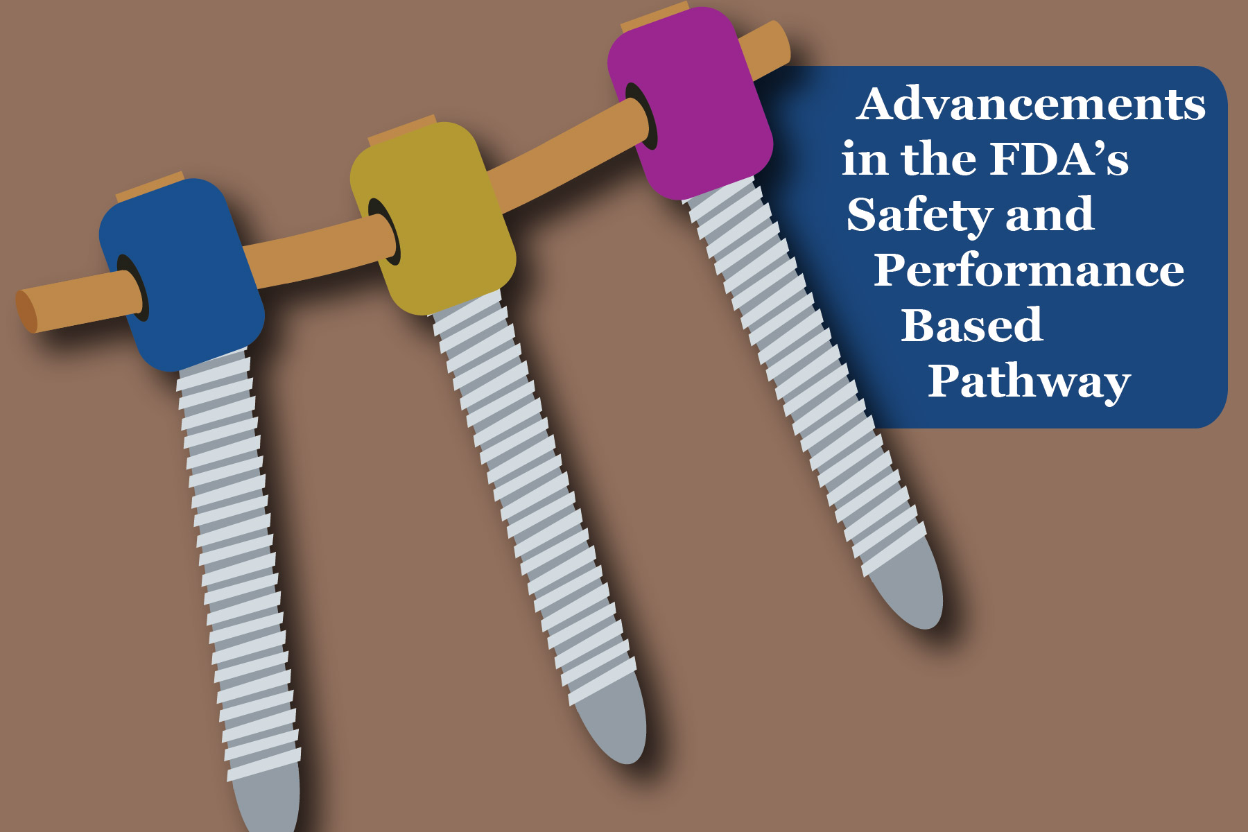 Advancements in the FDA’s Safety and Performance Based Pathway