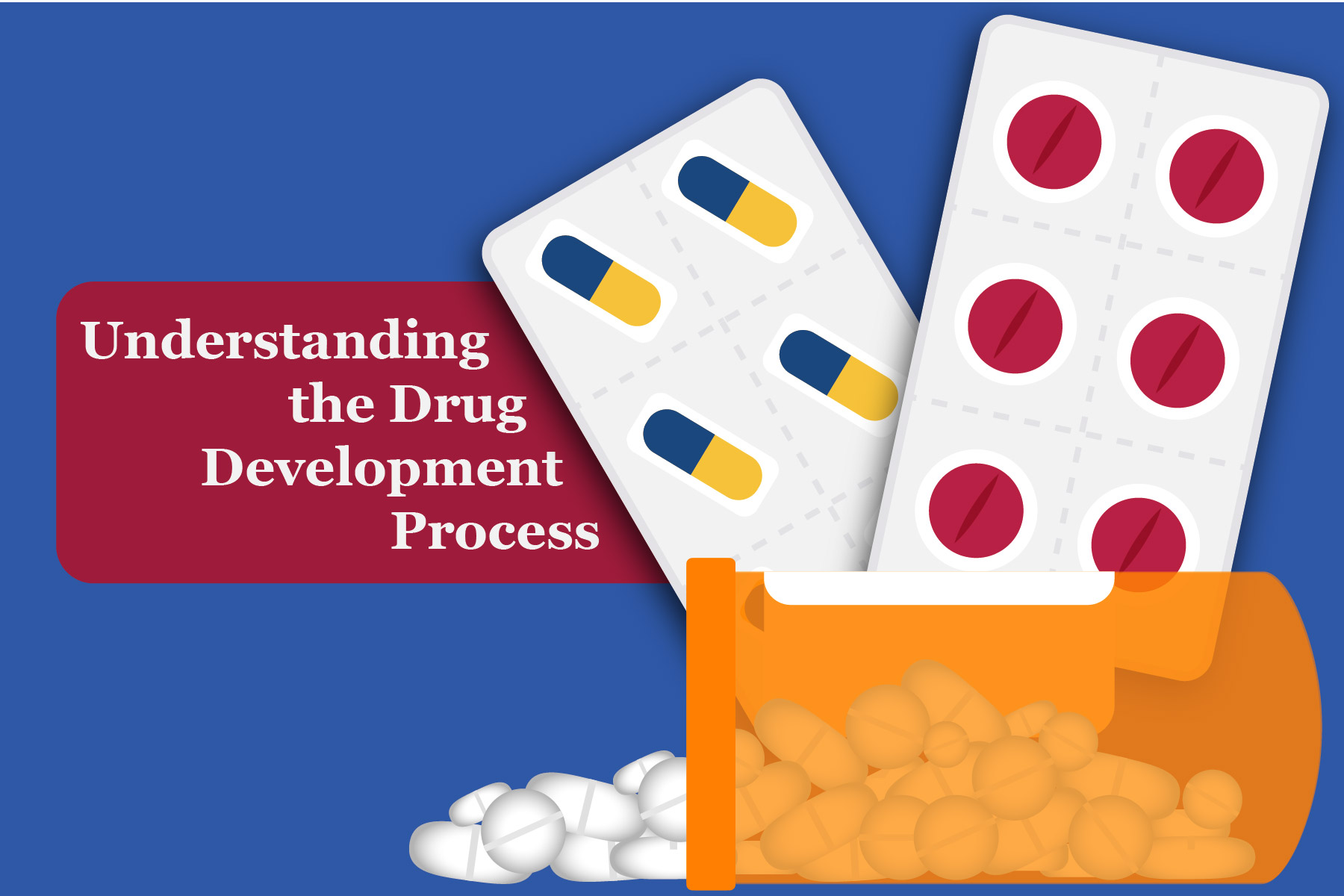 Understanding the Drug Development Process