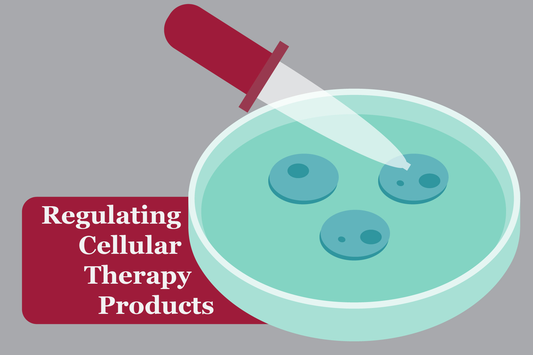 Cellular therapy regulations in the FDA