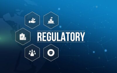 What to Do When Regulations Do Not Work (for You)