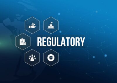 What to Do When Regulations Do Not Work (for You)