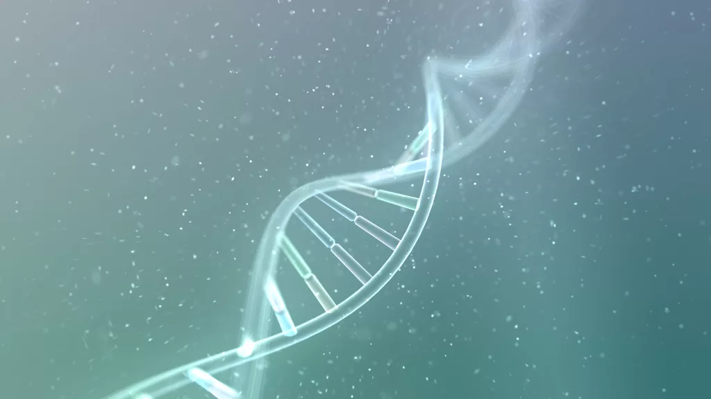Gene Therapy Regulation by the FDA