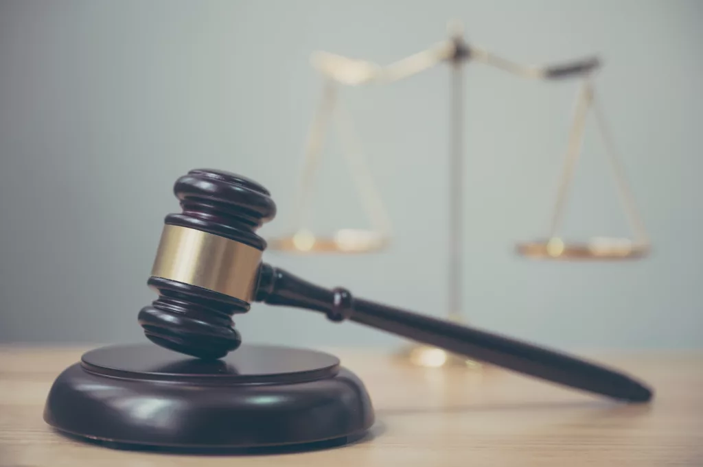 Understanding FDA Import Alerts