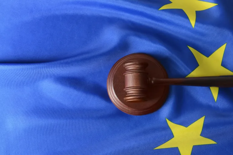 An Overview of the CE Marking Process for Medical Devices