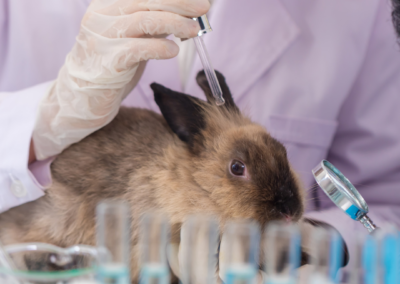 Laboratory Animal Regulations