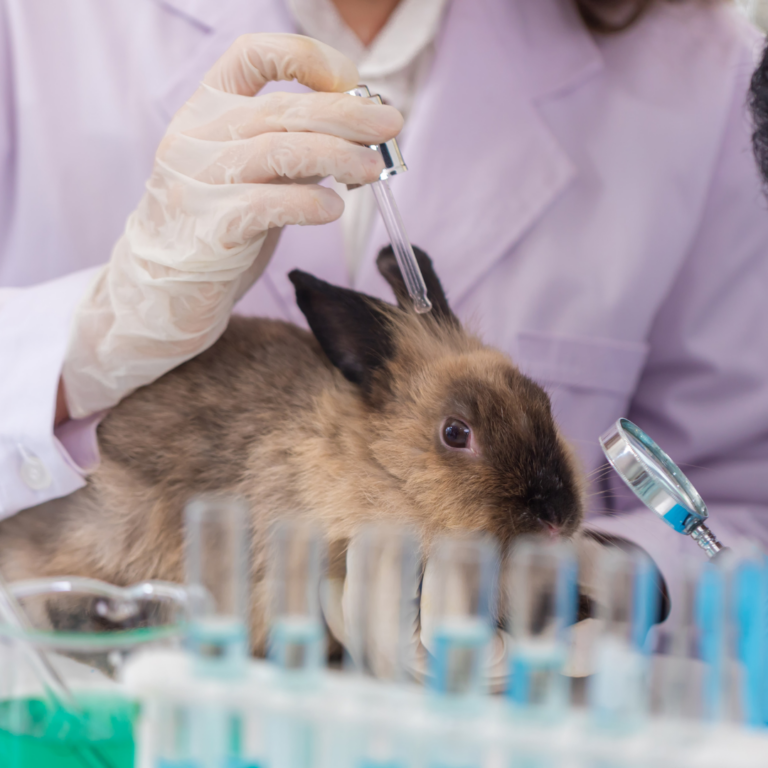 Laboratory Animal Regulations