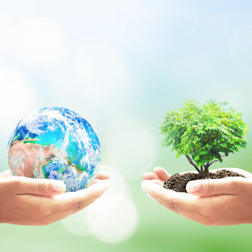 Staying Eco-friendly while Staying in Compliance