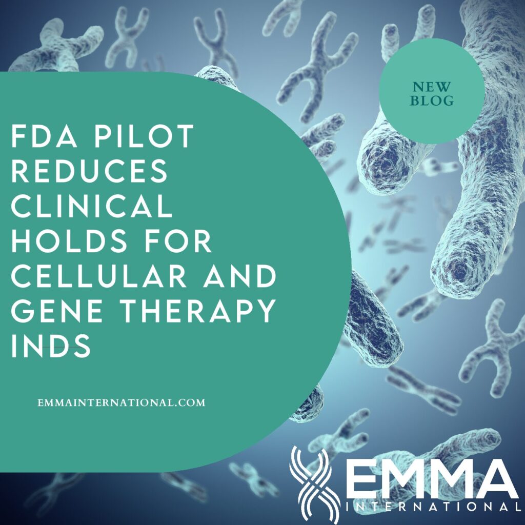 FDA Pilot Reduces Clinical Holds for Cellular and Gene Therapy INDs