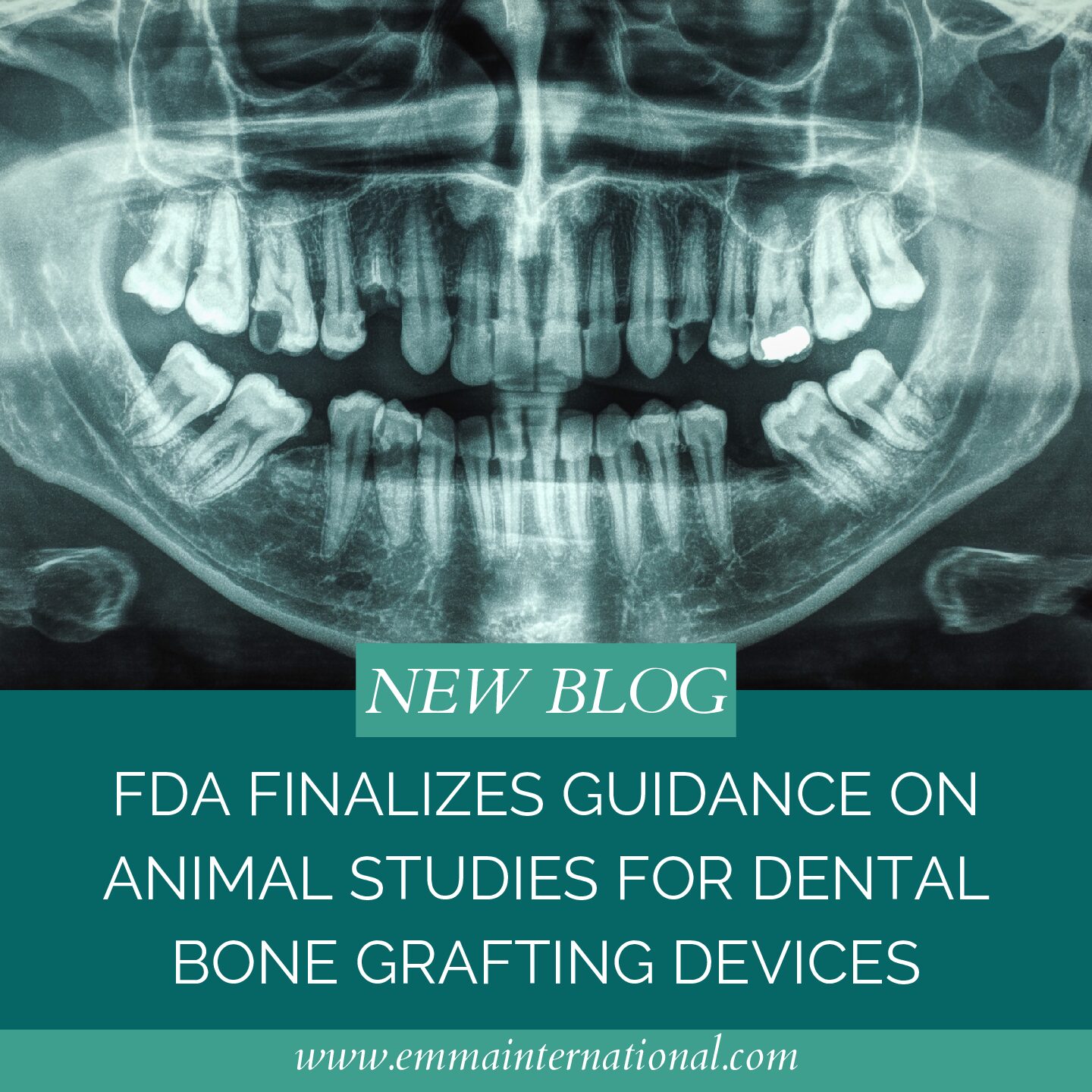 FDA Finalizes Guidance on Animal Studies for Dental Bone Grafting Devices