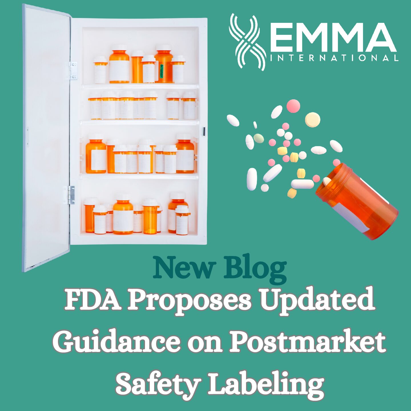 FDA Proposes Updated Guidance on Postmarket Safety Labeling