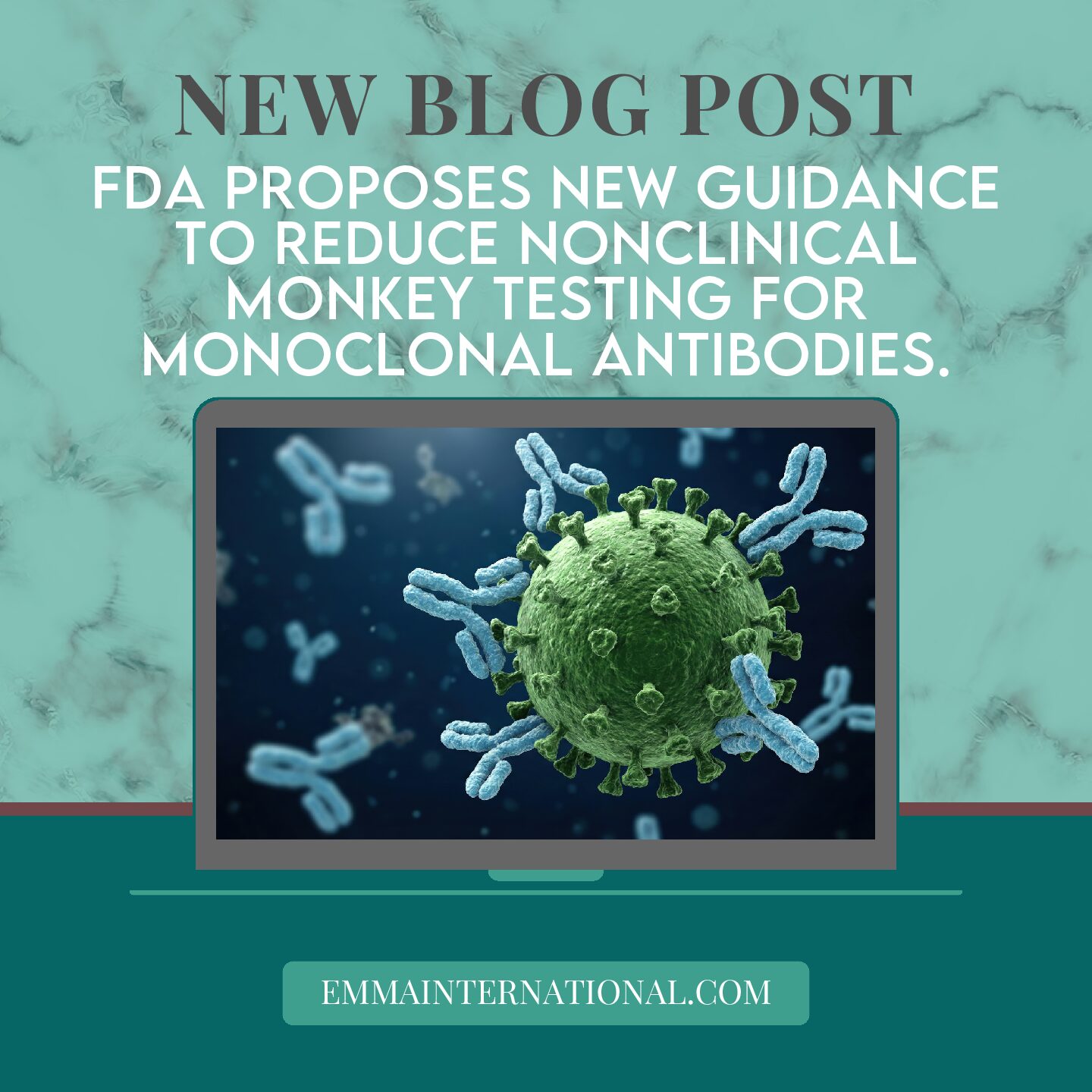 FDA Proposes New Guidance to Reduce Nonclinical Monkey Testing for Monoclonal Antibodies
