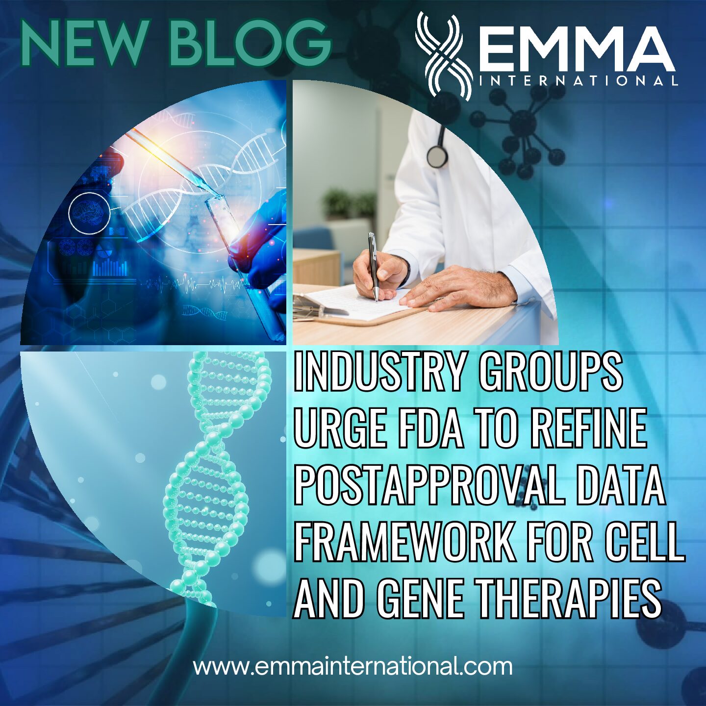Industry Groups Urge FDA to Refine Postapproval Data Framework for Cell and Gene Therapies